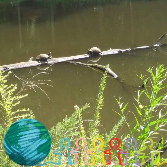 Meet your Posher, Julia - Picture 1 of 1